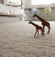 Shamrock Carpet and Upholstering Cleaning, LLC image 3